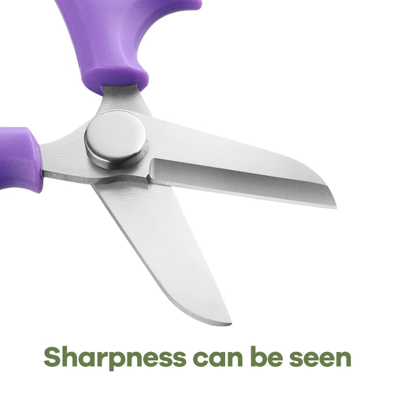 Hot Selling  Home Garden Pruning Scissors Flower Branch Tree Trimmers with Plastic Handle Factory Price for Flower Shops