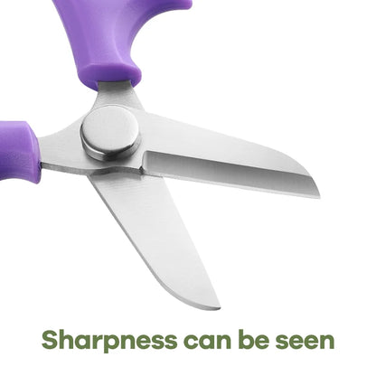 Hot Selling  Home Garden Pruning Scissors Flower Branch Tree Trimmers with Plastic Handle Factory Price for Flower Shops